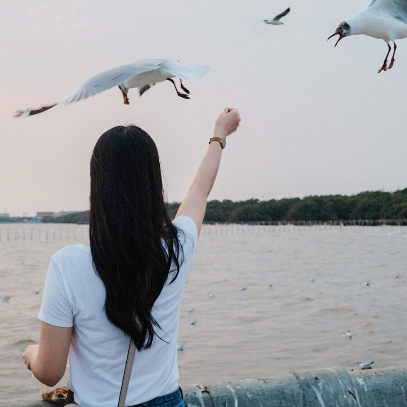 สถานตากอากาศบางปู