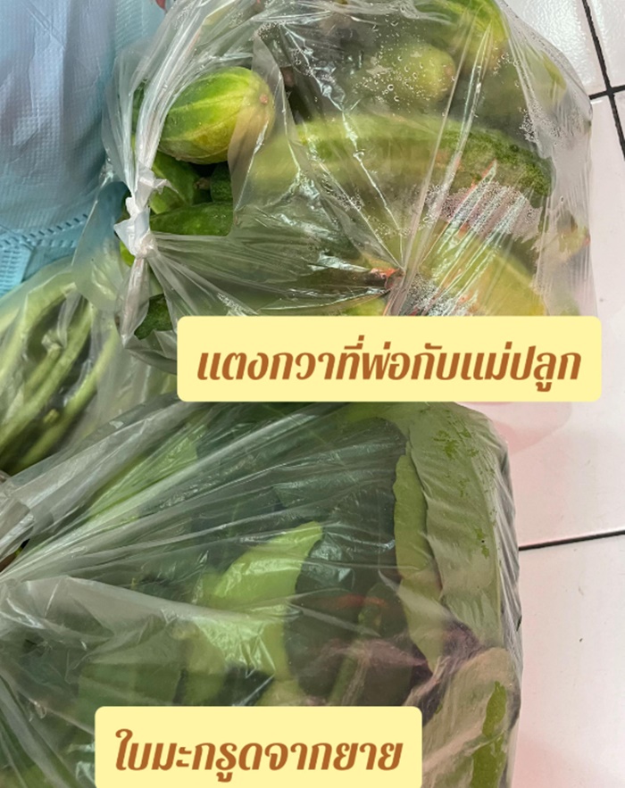 เปิดร้านส้มตำ