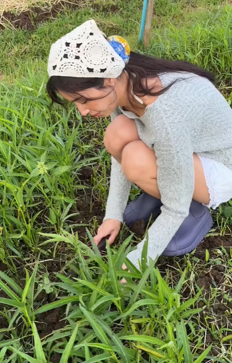 มิ้นต์ ชาลิดา