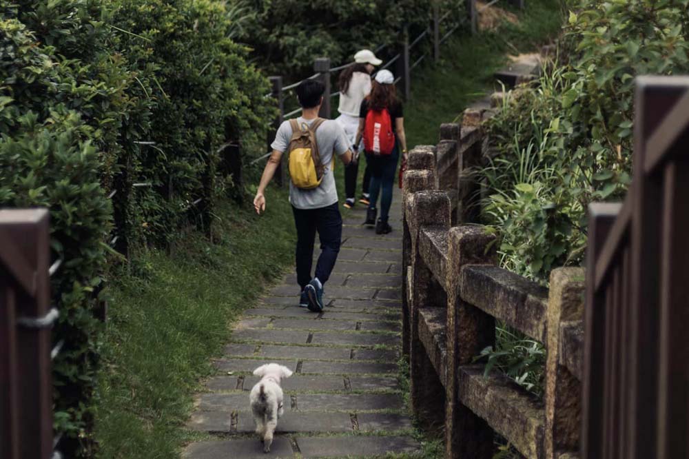 ปี๋โถวเจี่ยว