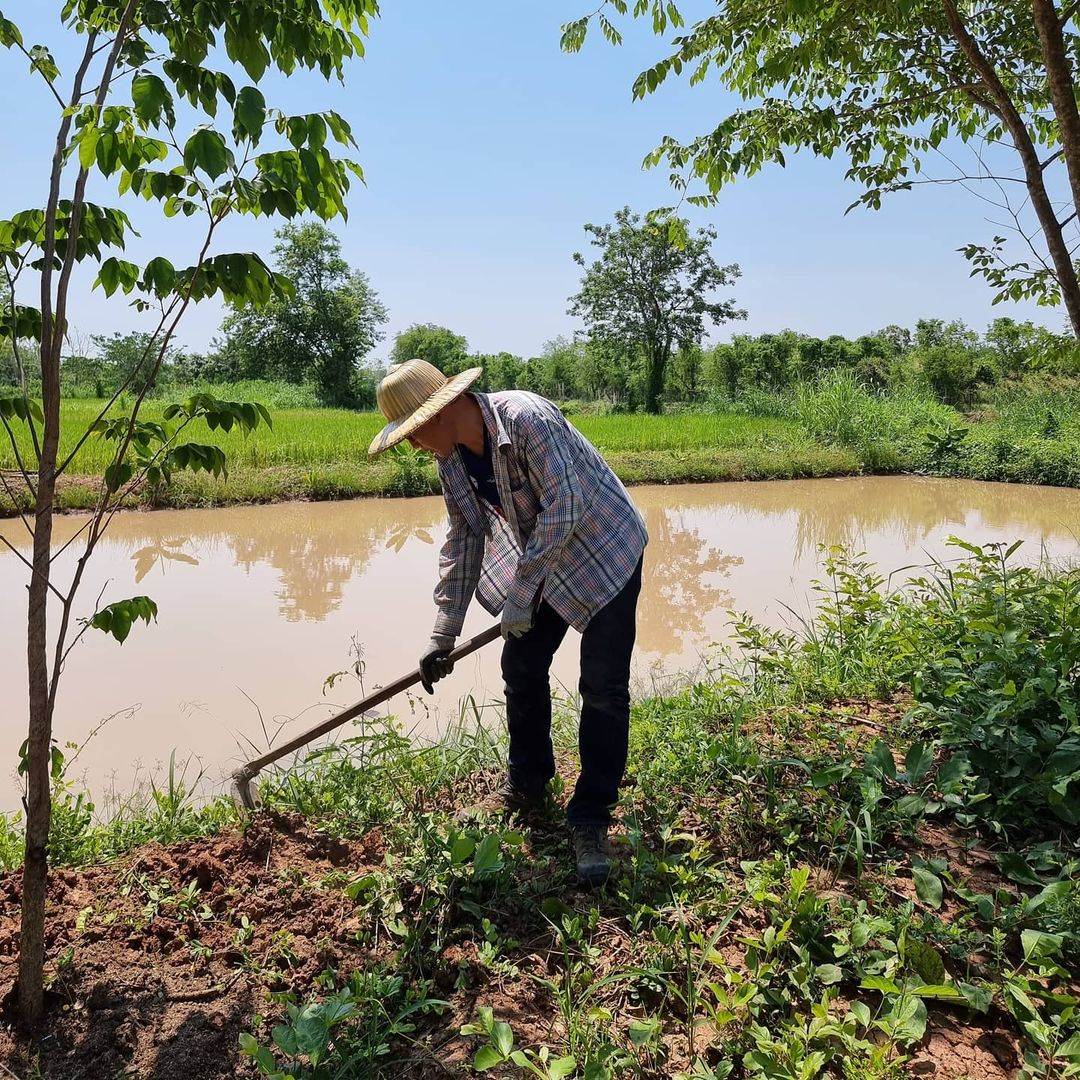 กิตติ สิงหาปัด