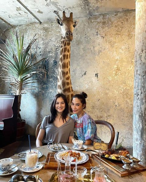 คลอดีน อทิตยา ประวัติ