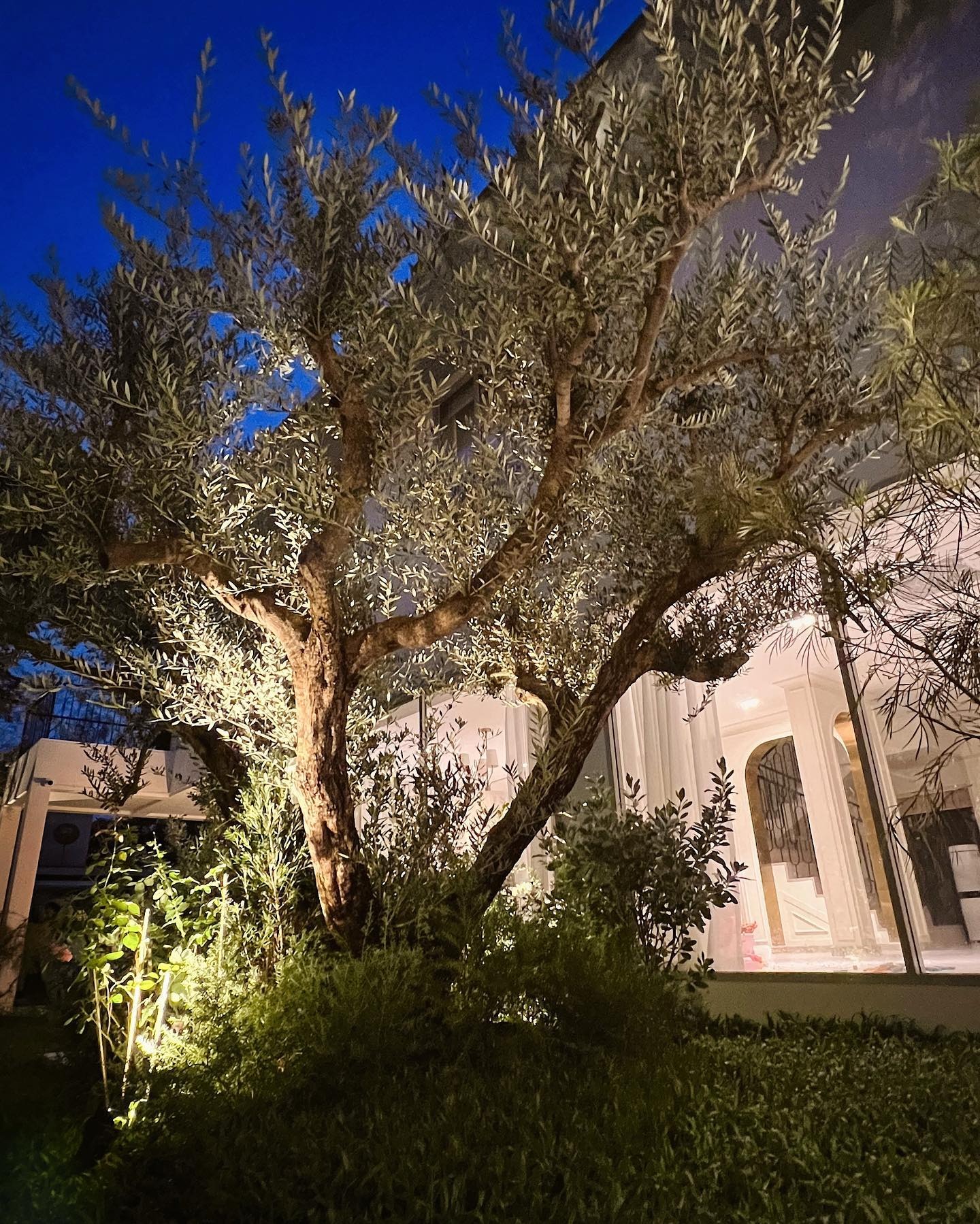 บ้าน เจนี่ เทียนโพธิ์สุวรรณ