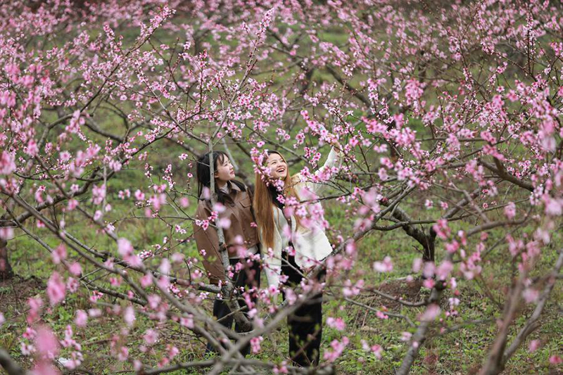 เที่ยวจีน