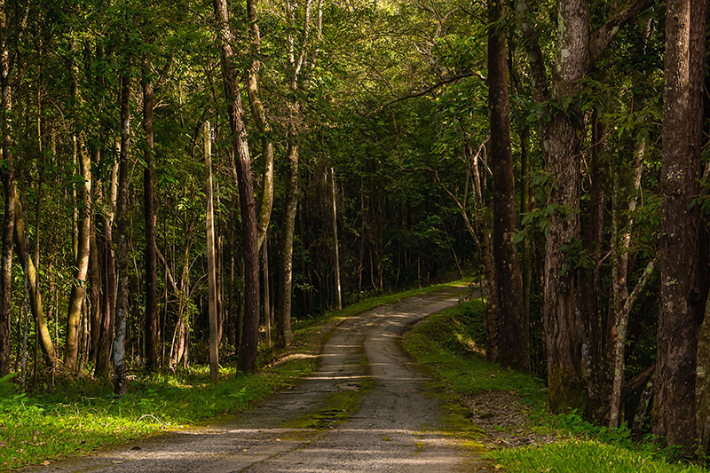 น่าน ทริปเที่ยววันหยุดยาว 3 วัน 2 คืน