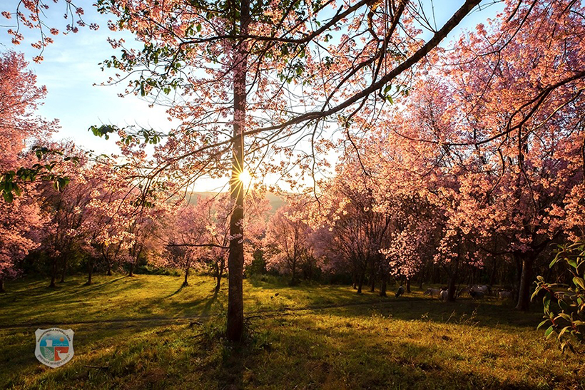 ภูลมโล 2569