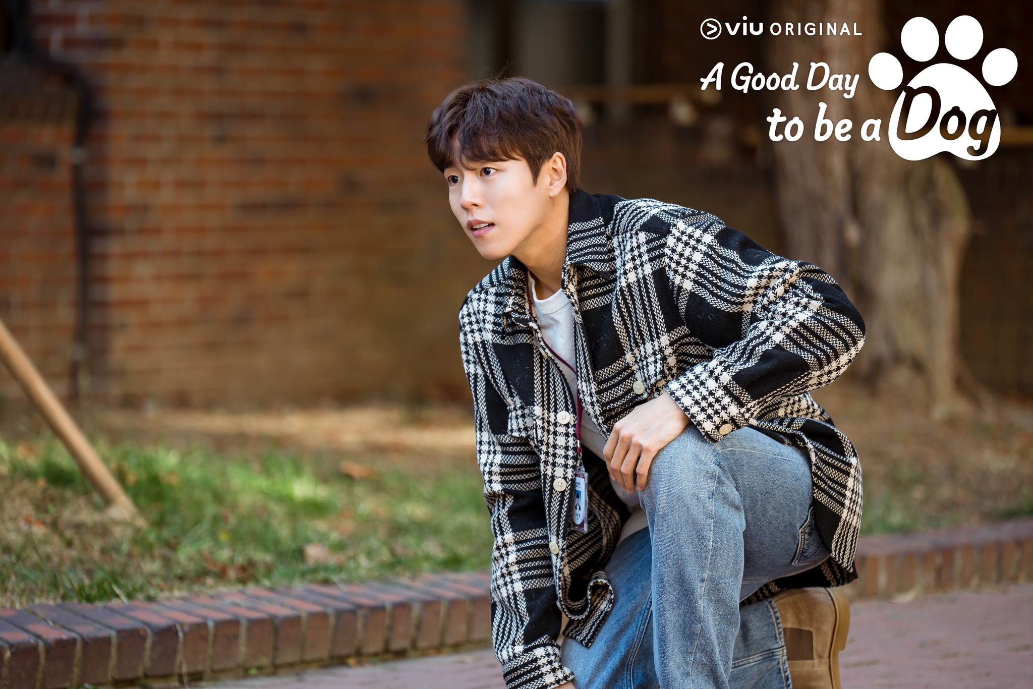 รีวิว A Good Day to be a dog ซีรีส์เกาหลี โรแมนติกแฟนตาซี ของ ชาอึนอู