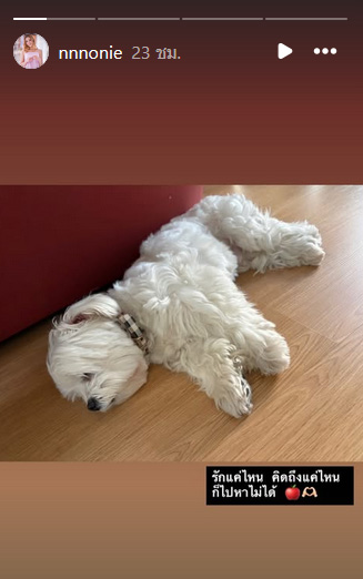 นนนี่ นนลนีย์