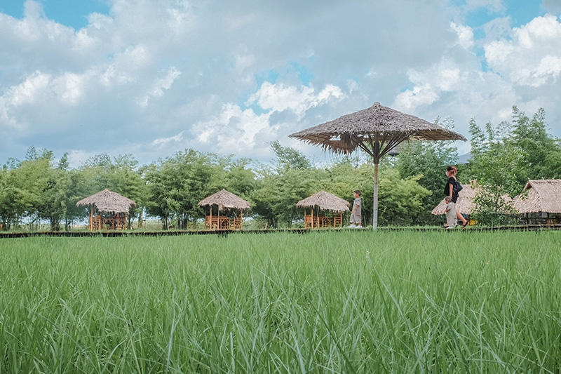 The Ugly Duckling Learning Farm