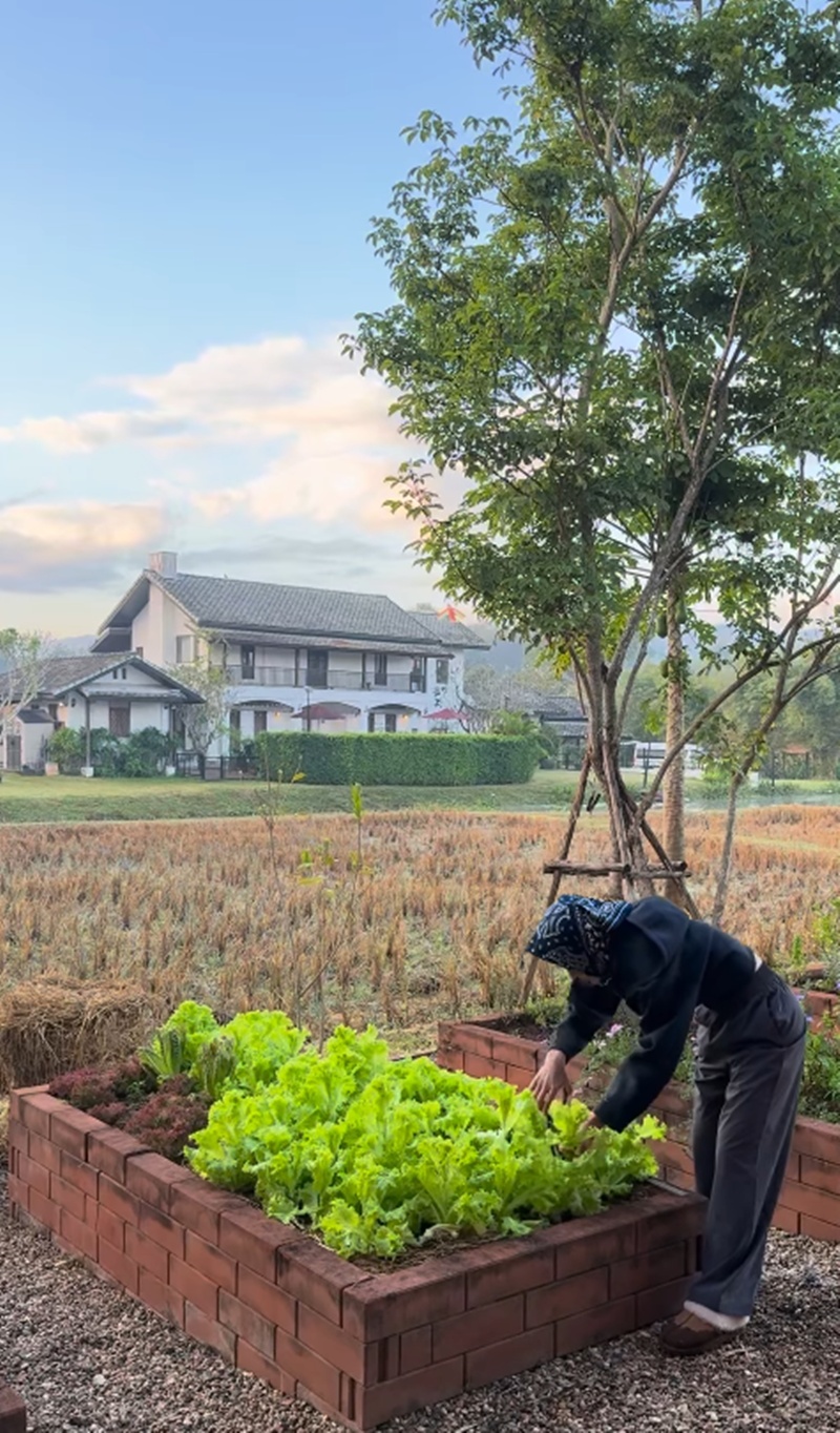 แอน ทองประสม