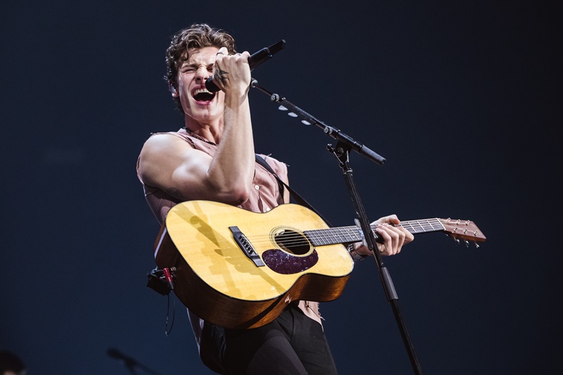 Shawn Mendes The Tour