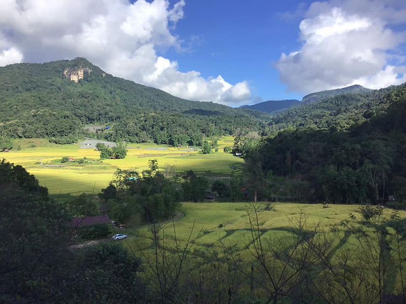 ที่พักหน้าฝน
