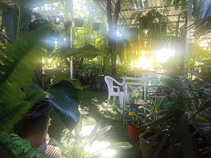 คาเฟ่ นครนายก