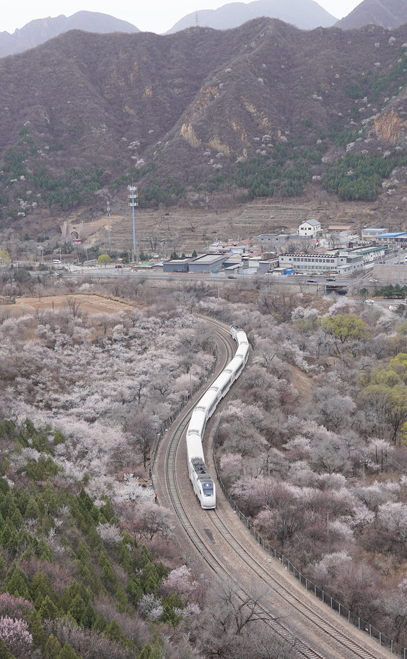 เที่ยวจีน