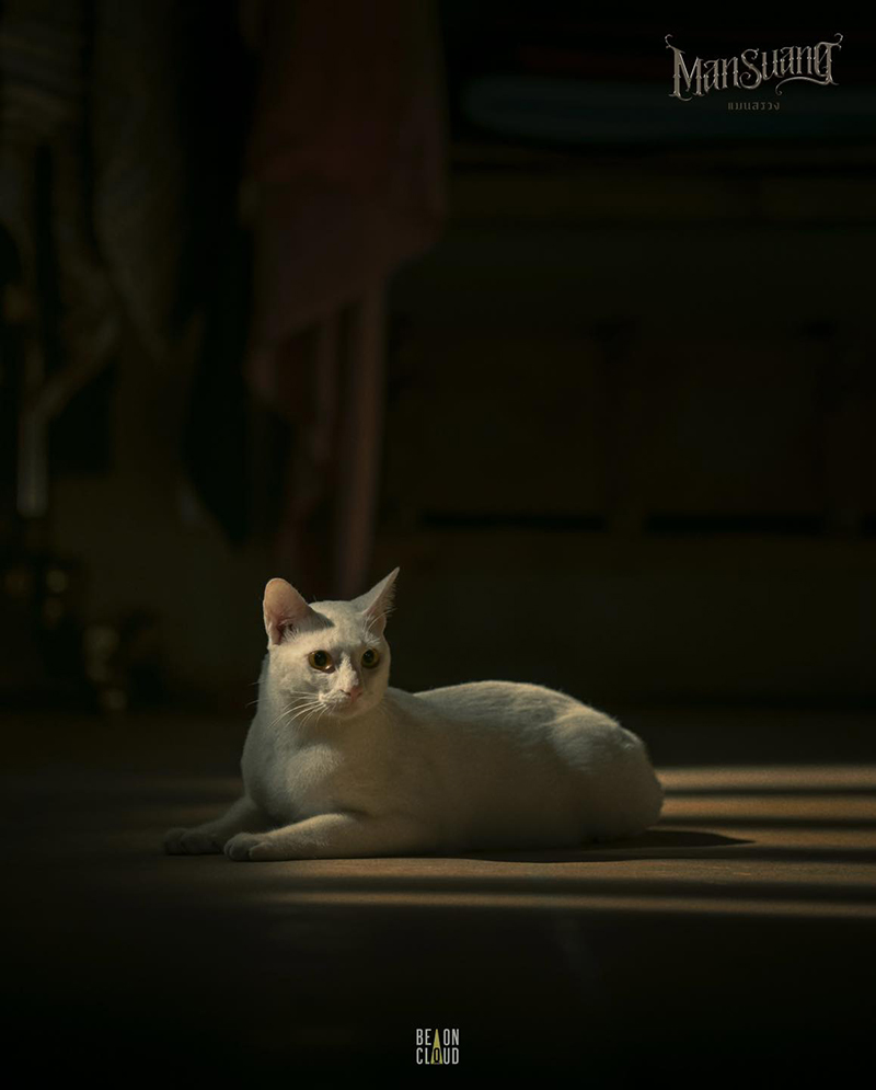 แมนสรวง