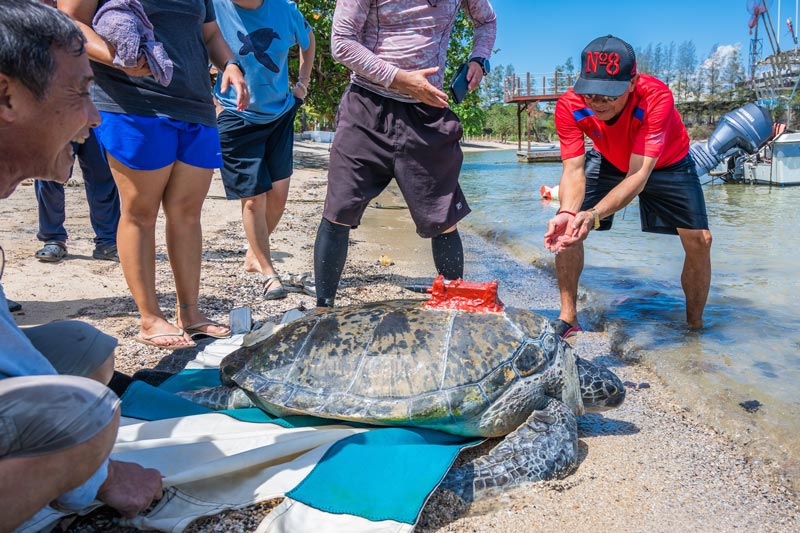 คุณปู่เต่าตนุเป้แดง