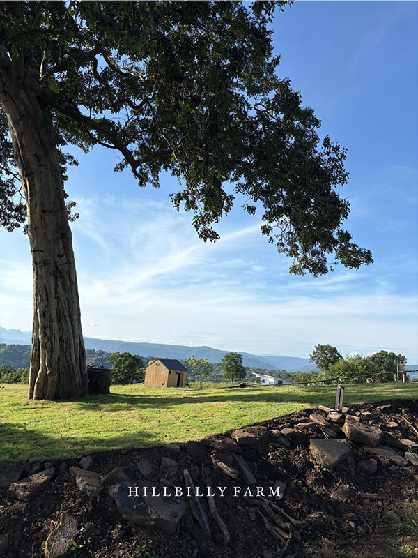 Hillbilly Farm ที่พักหน้าร้อน 2569