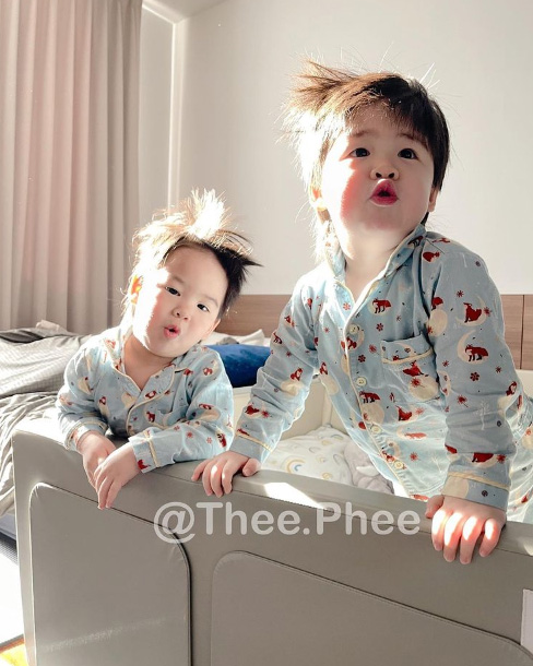 ลูกดารา