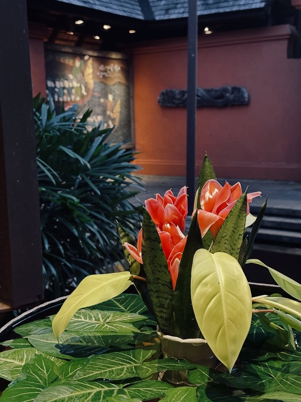 น้องสายน้ำ ลูกชายเอมมี่ มรกต