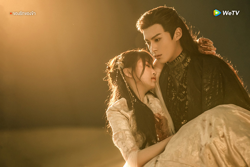 ของรักของข้า ซีรีส์จีน พระเอกคลั่งรัก