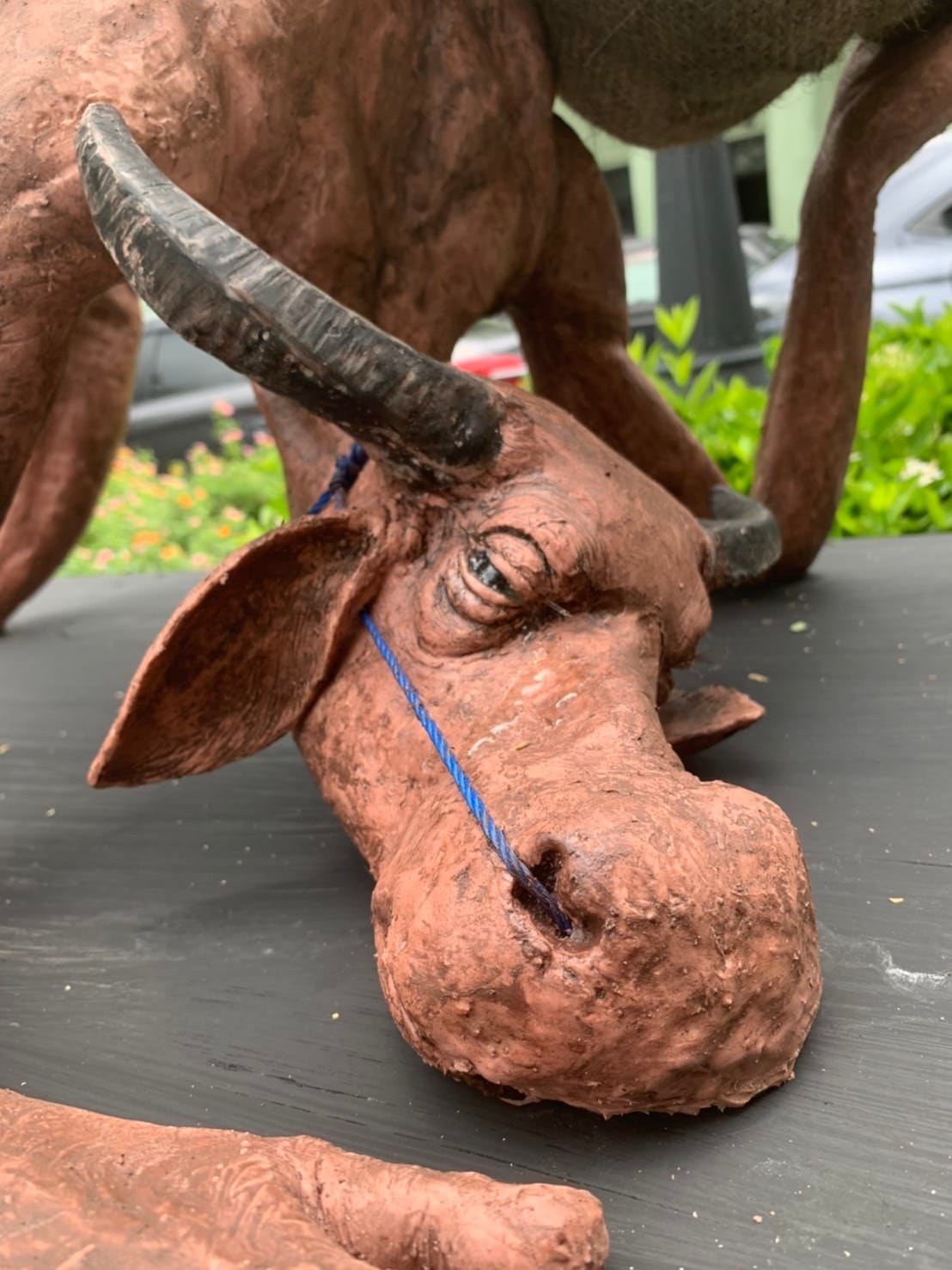 ควายผอม