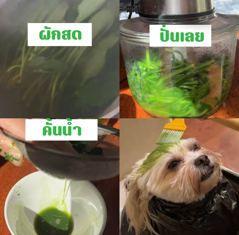 ย้อมผม