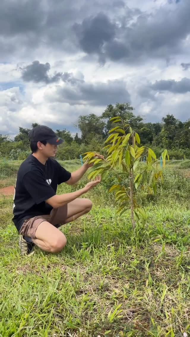 เคน ภูภูมิ