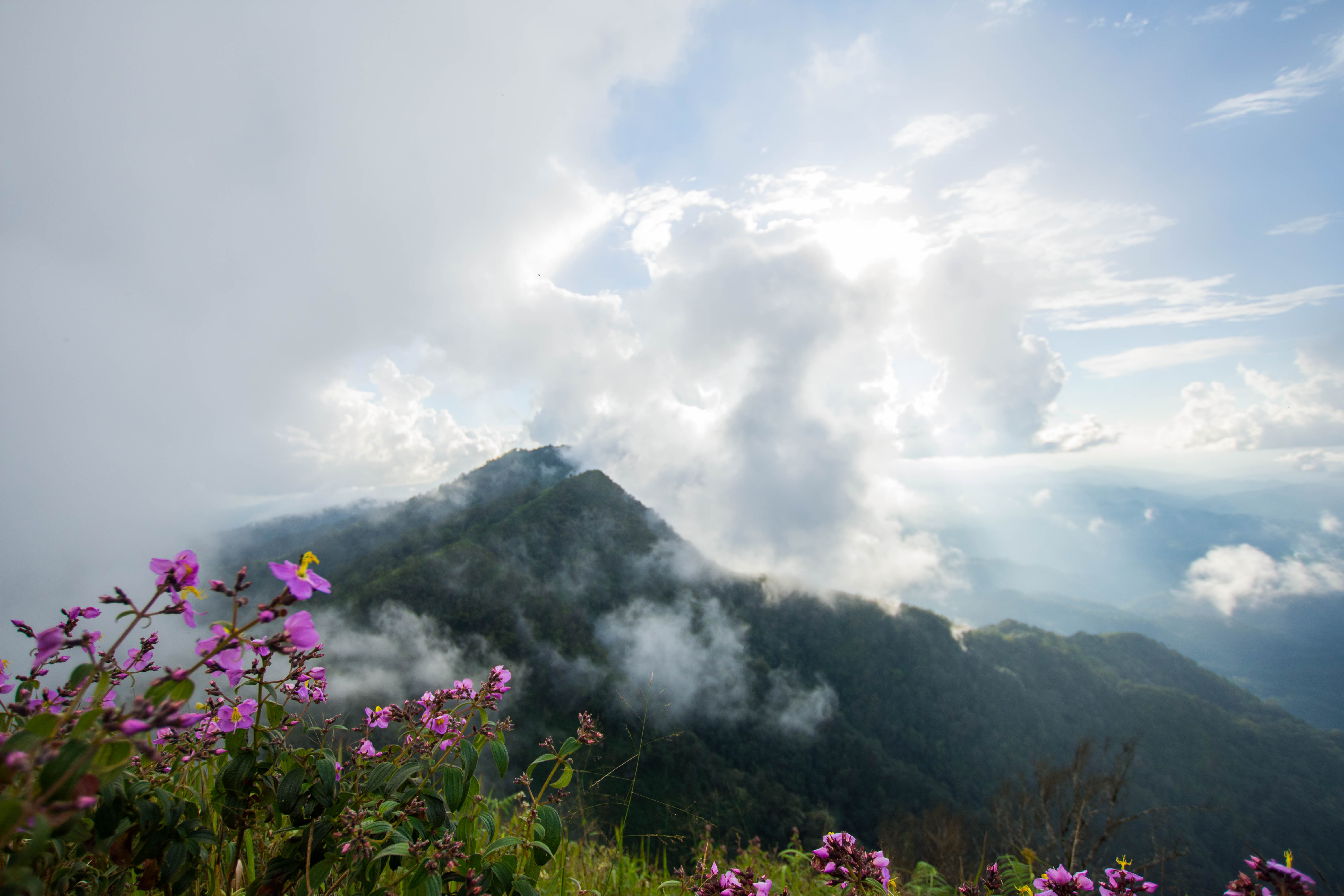 ภูเมี่ยง อุตรดิตถ์ 
