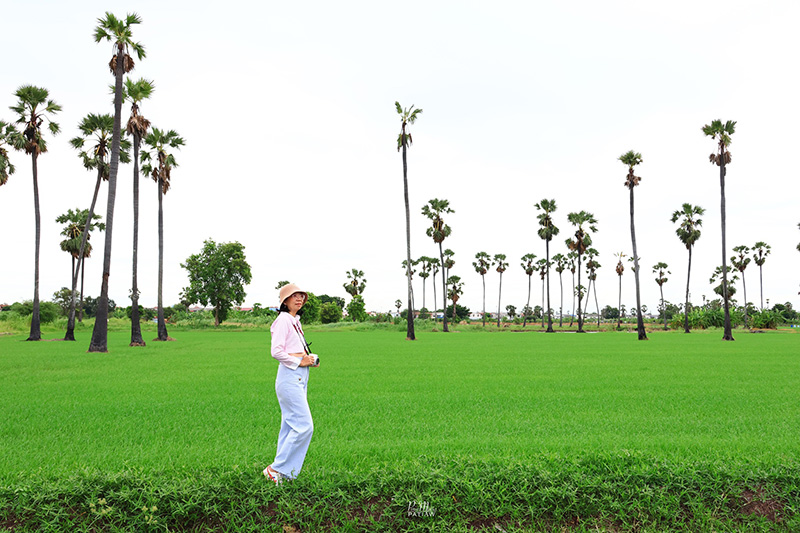 จุดชมวิวดงตาลสามโคก