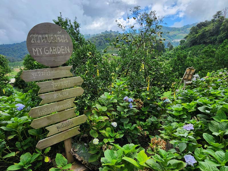สวนของฉัน My garden 