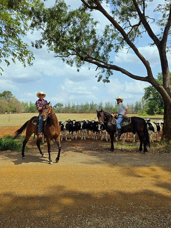 ปราบ บูลกุล