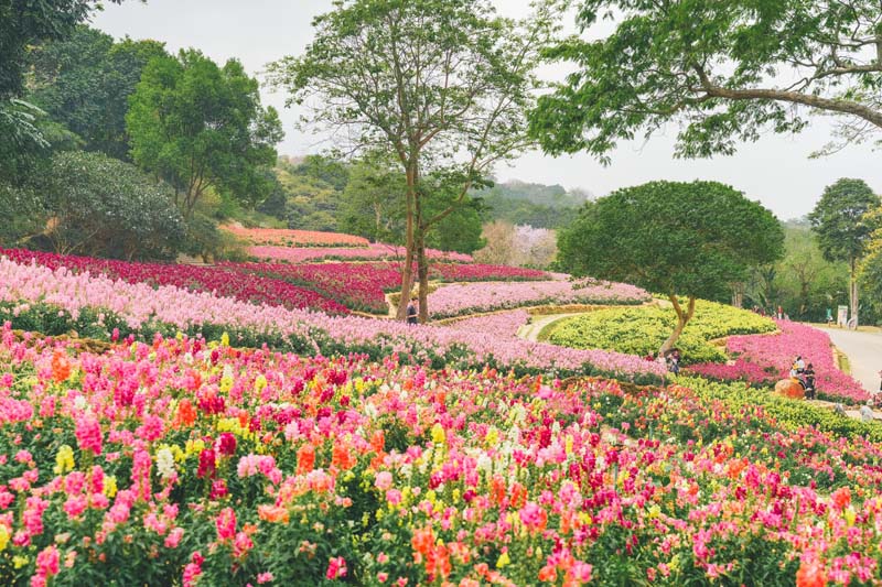 เที่ยวหนานหนิง