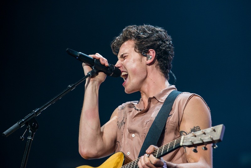 Shawn Mendes The Tour