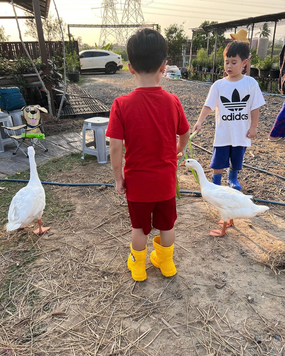 น้องแอบิเกล