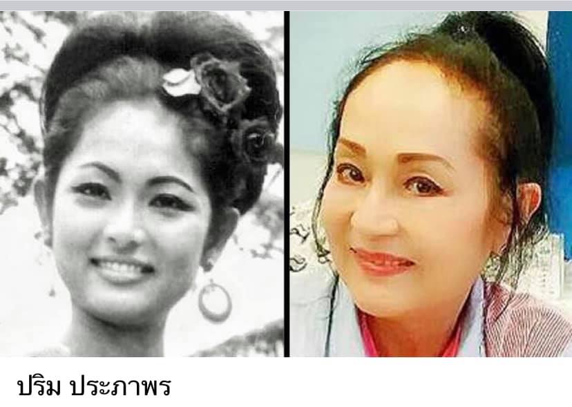 ดาวค้างฟ้าของเมืองไทย