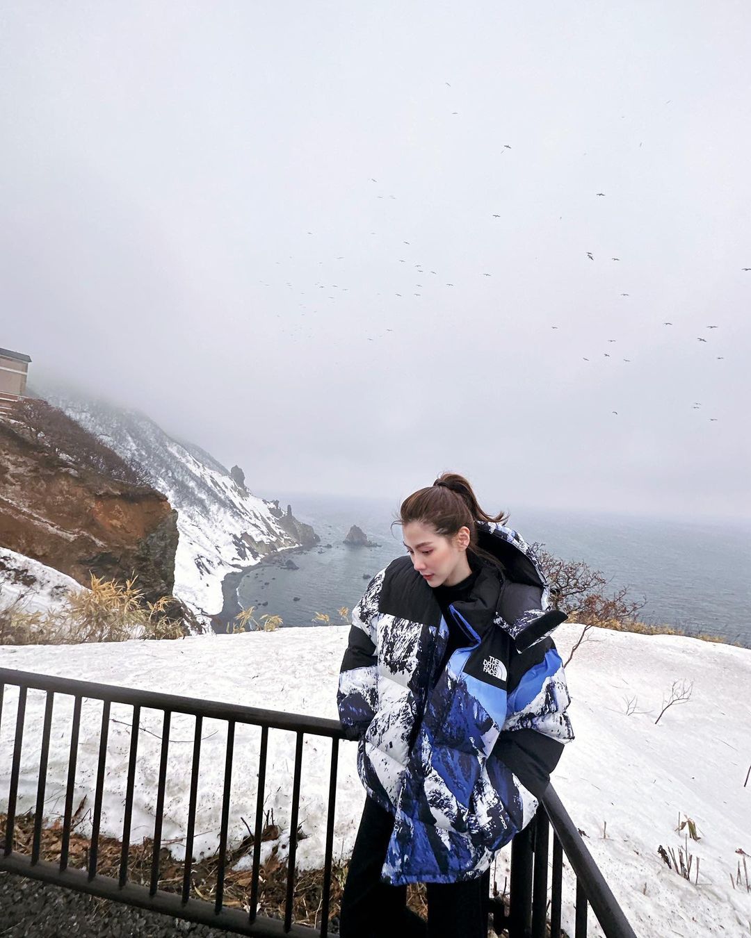 ใบเฟิร์น พิมพ์ชนก