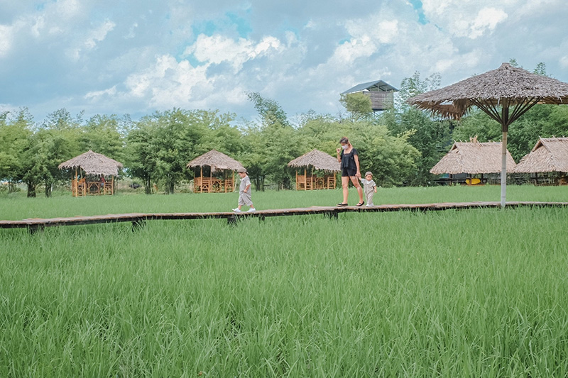 The Ugly Duckling Learning Farm