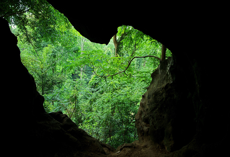 ถ้ำผาหงษ์