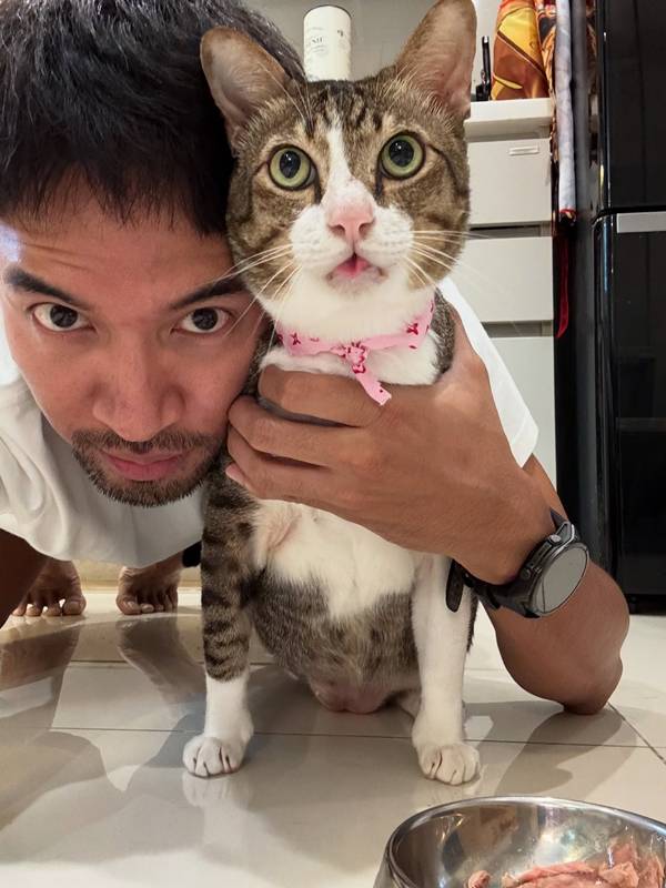 แมว เกรท วรินทร