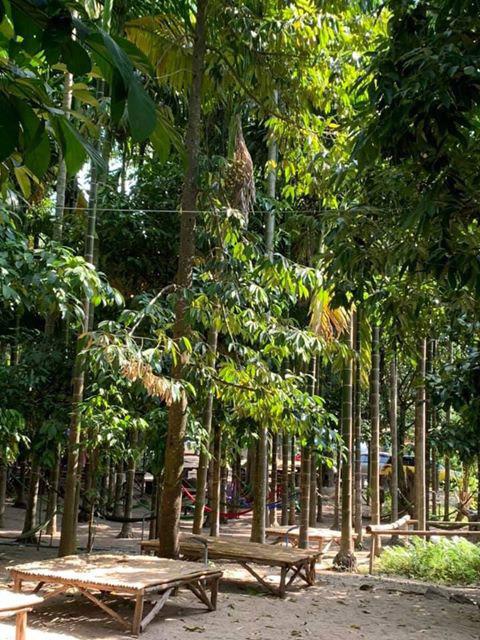 ศูนย์เรียนรู้เฌอซี๊ญ่า ตลาดไกวเปล