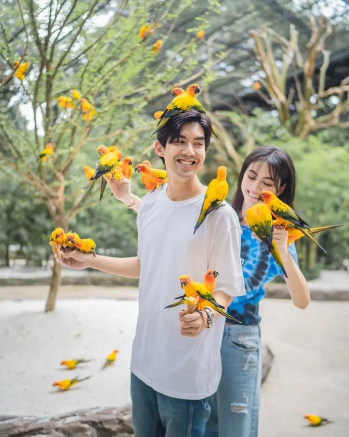 เต๋อ ฉันทวิชช์ ใหม่ ดาวิกา