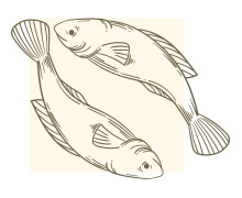 สีเล็บเสริมดวง