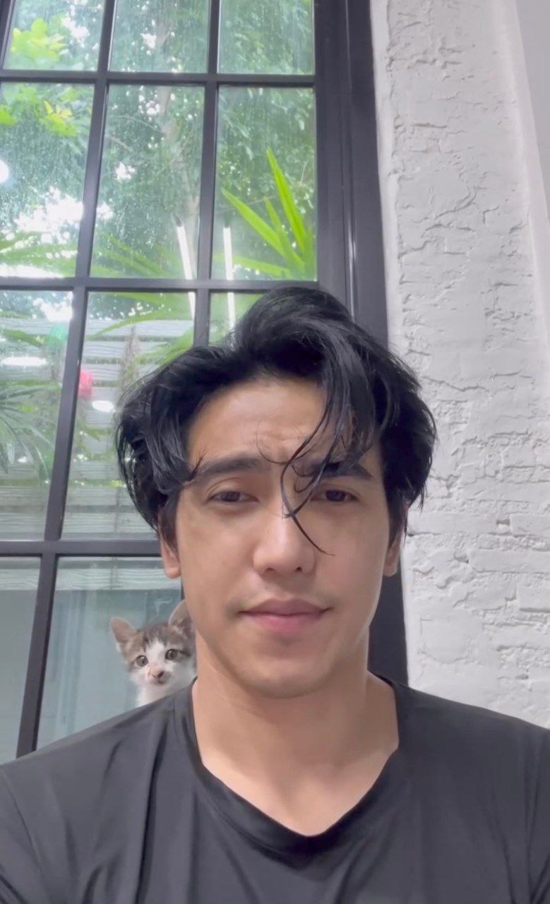 ก๊อต จิรายุ แมว