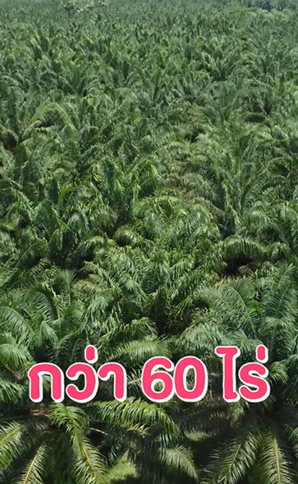 เจมส์ เรืองศักดิ์ ประกาศขายสวน