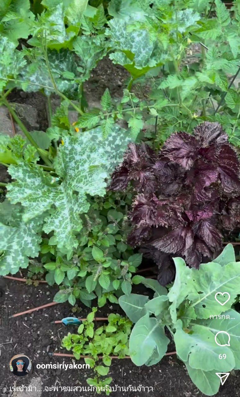 อุ้ม สิริยากร