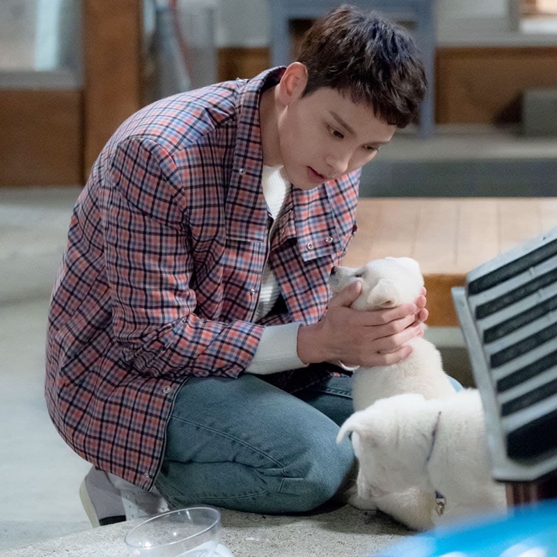 ชเวแทจุน choi tae joon