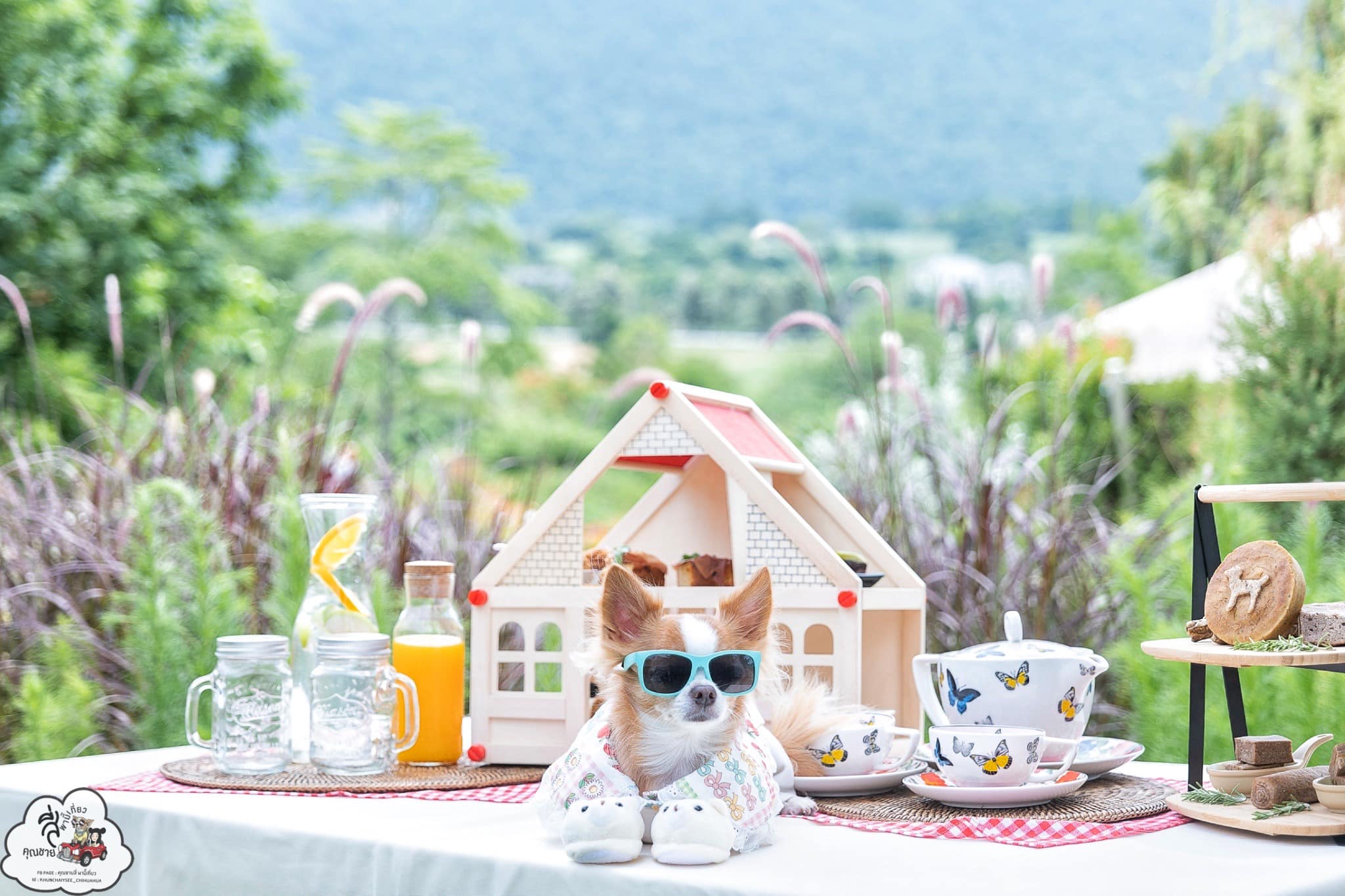 Marasca Khao Yai