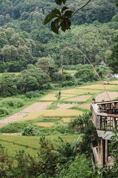 ฟาร์มเห็ดบ้านหัวน้ำ