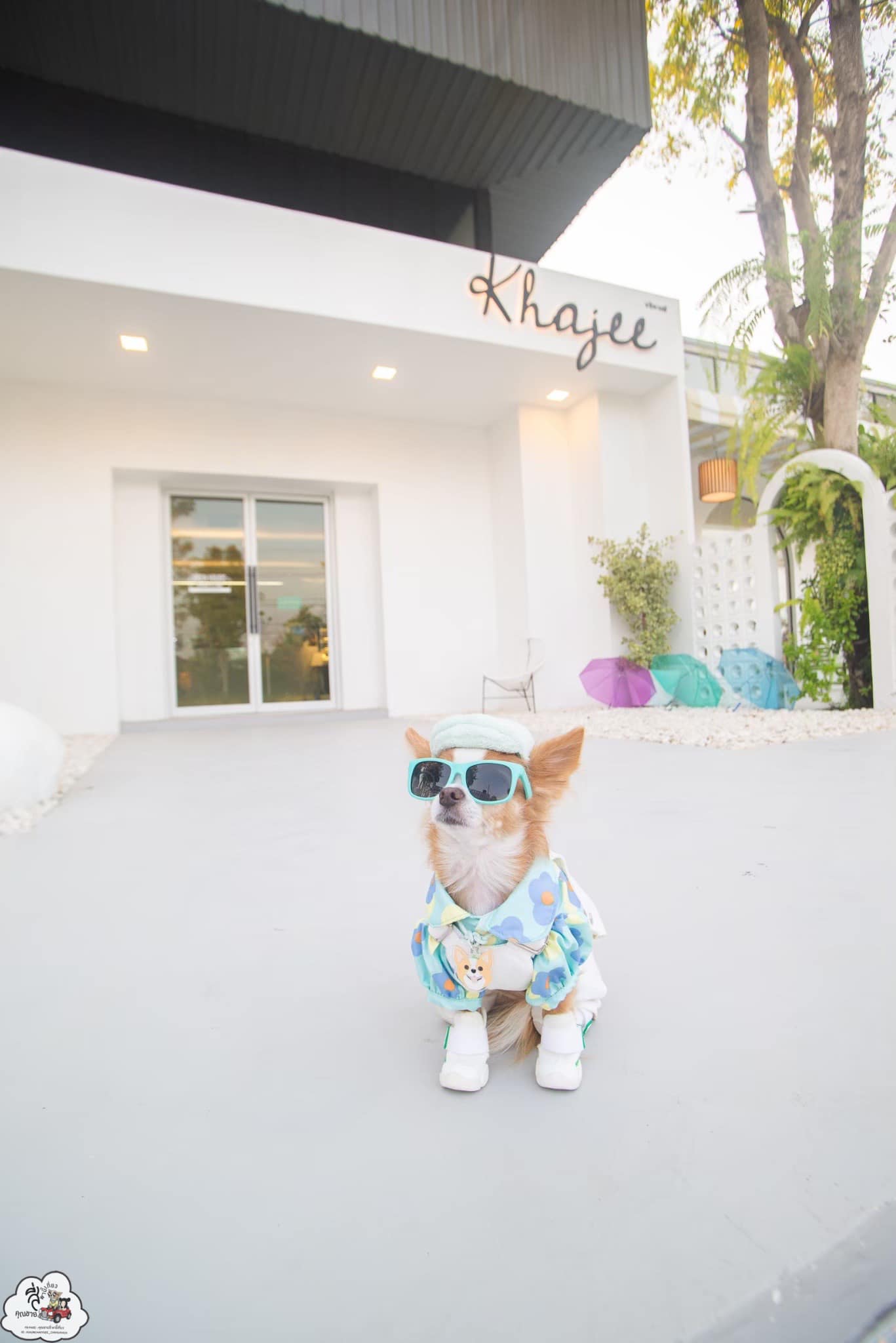 Khajee Cafe & Eatery