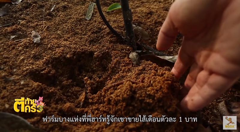 บ้าน ฮาร์ท สุทธิพงศ์